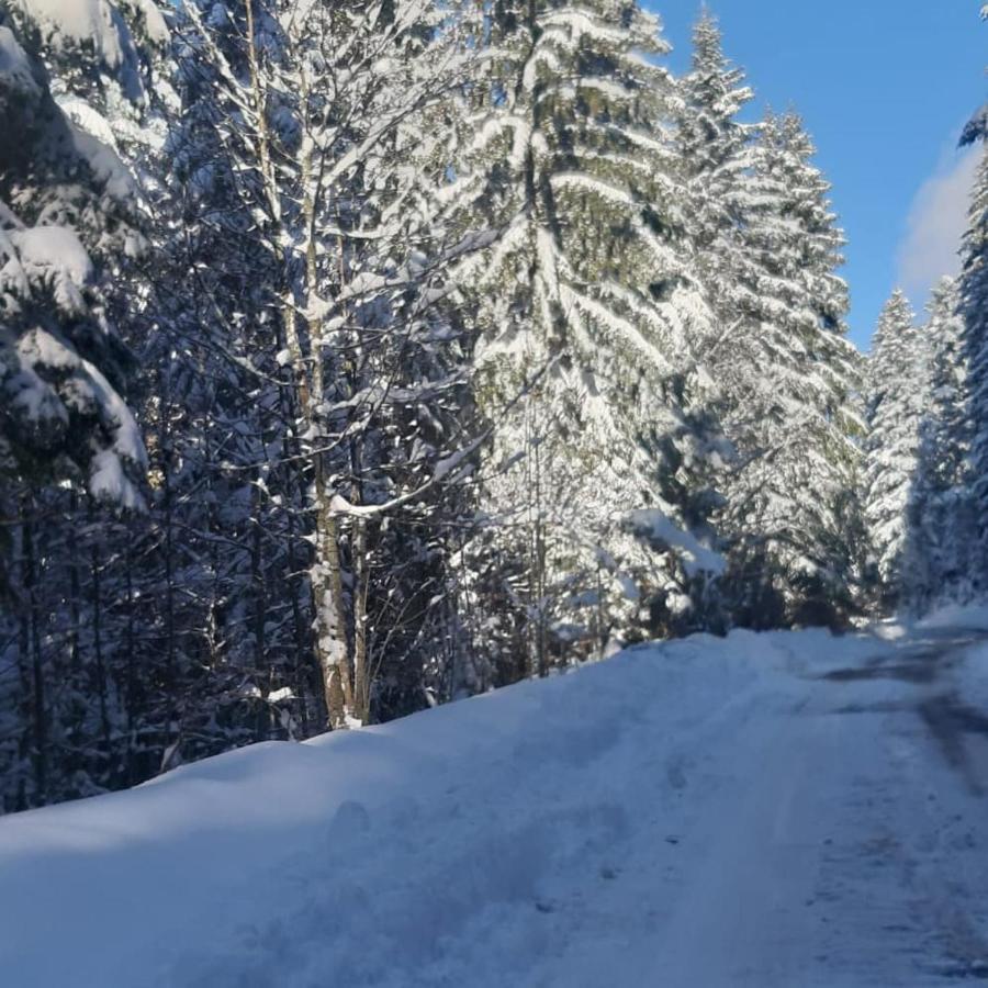 Tisina Tare Bajina Basta Exterior foto
