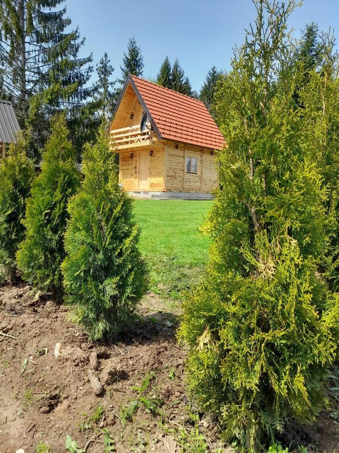 Tisina Tare Bajina Basta Exterior foto